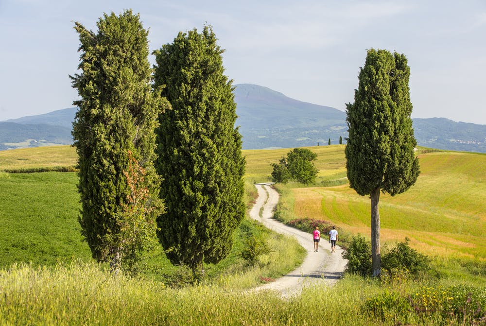 Couple of man and woman walking on a farm road in Tuscany in Italy, Europe