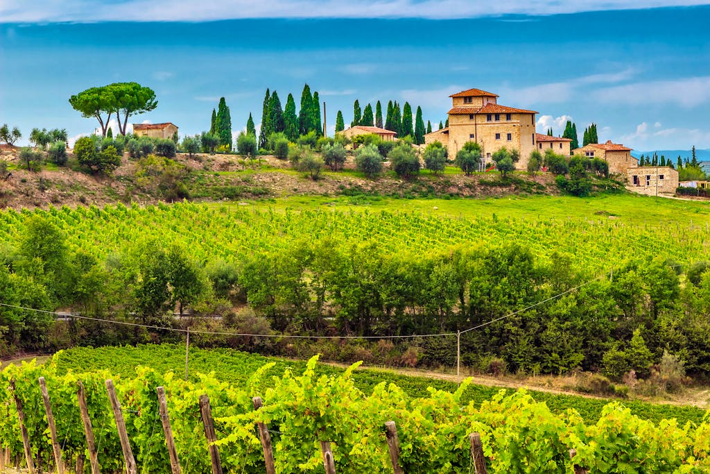 Typical Tuscany stone house with stunning vineyard in the Chianti region, Tuscany, Italy, Europe. 