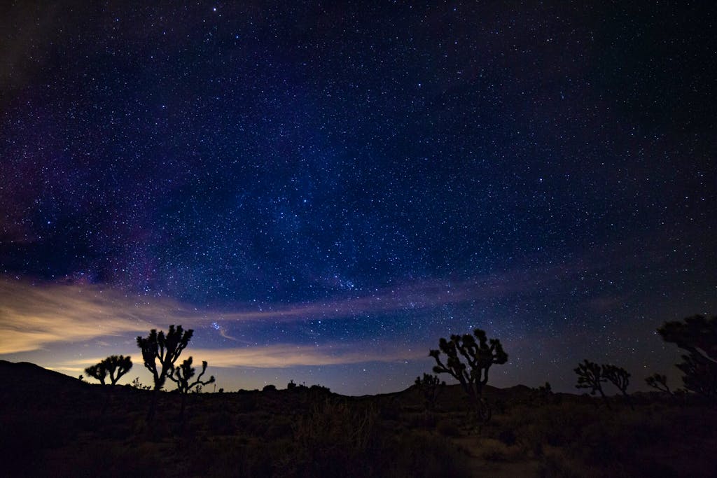 nighttime star gazing of Joshua Tree National Park in California