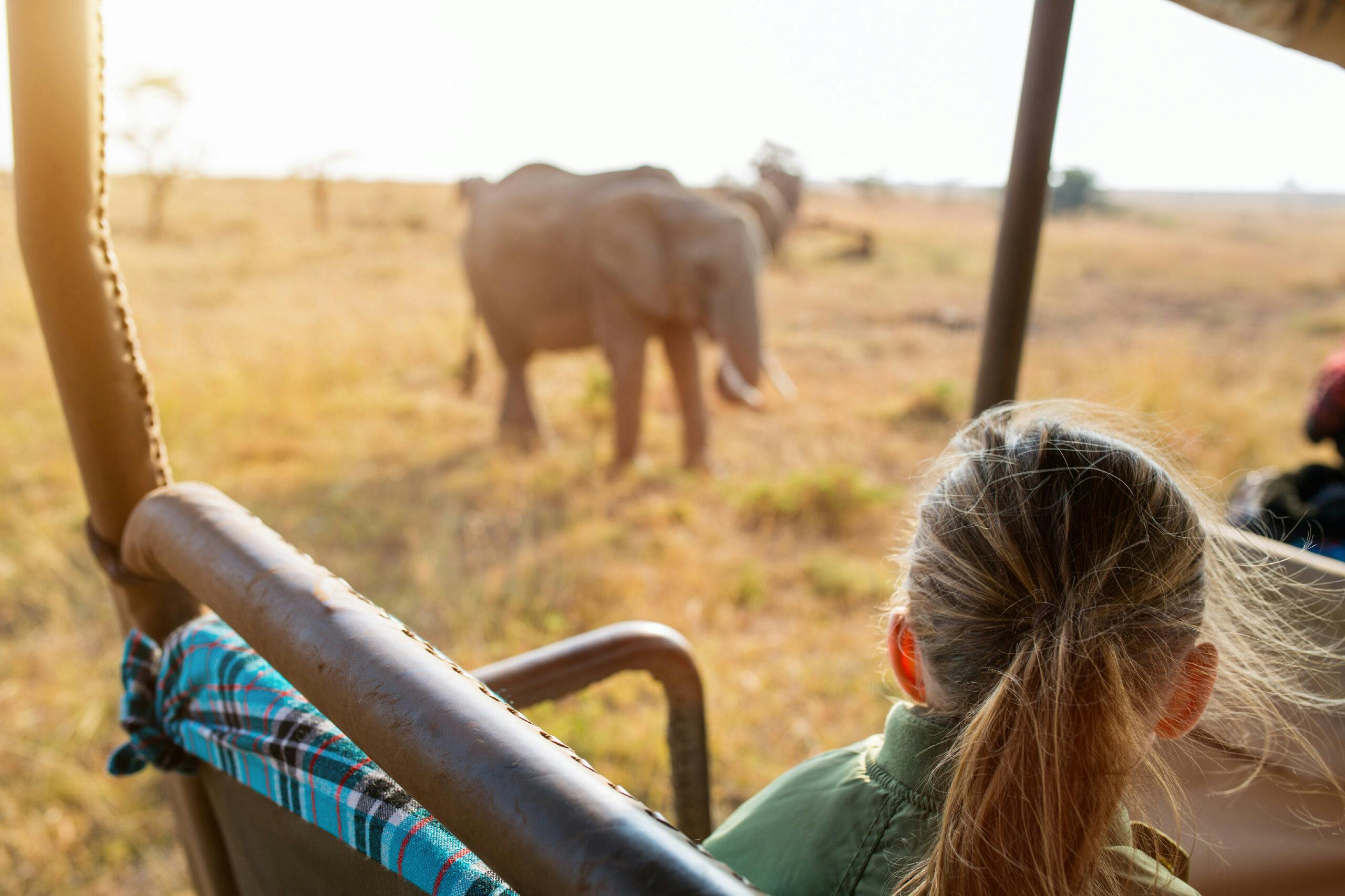 Adorable little girl in Kenya safari on morning game drive in open vehicle in a luxury safari adventure tour in Africa