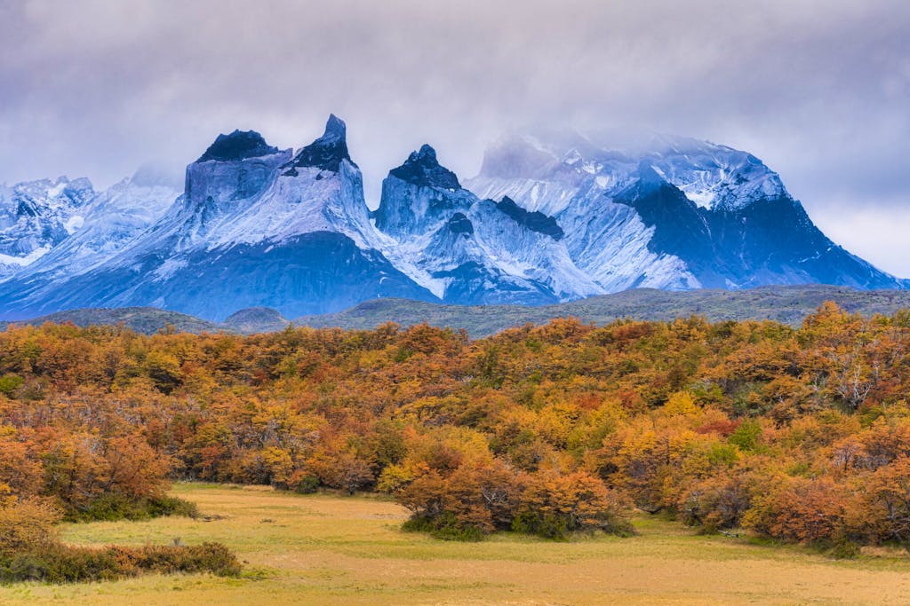 Hikers can witness autumn colorful leaves foliage in Patagonia, Chile & Argentina in March