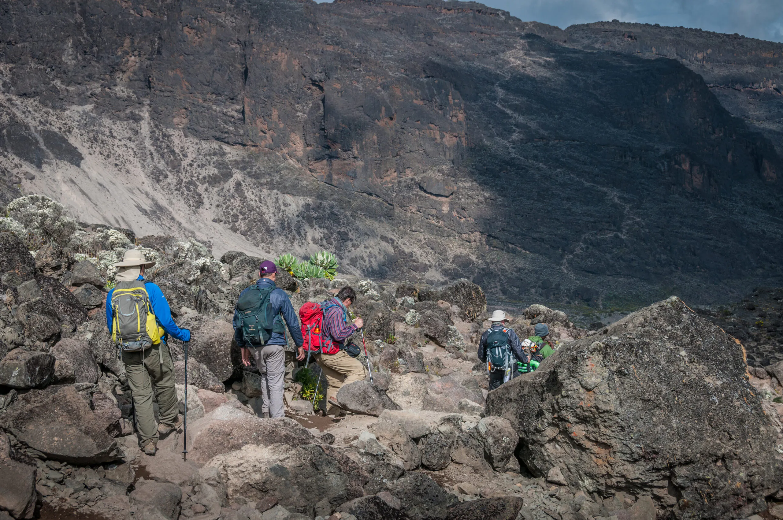 Trekkers descending on the trail to Kilimanjaro in Kilimanjaro National Park, Tanzania