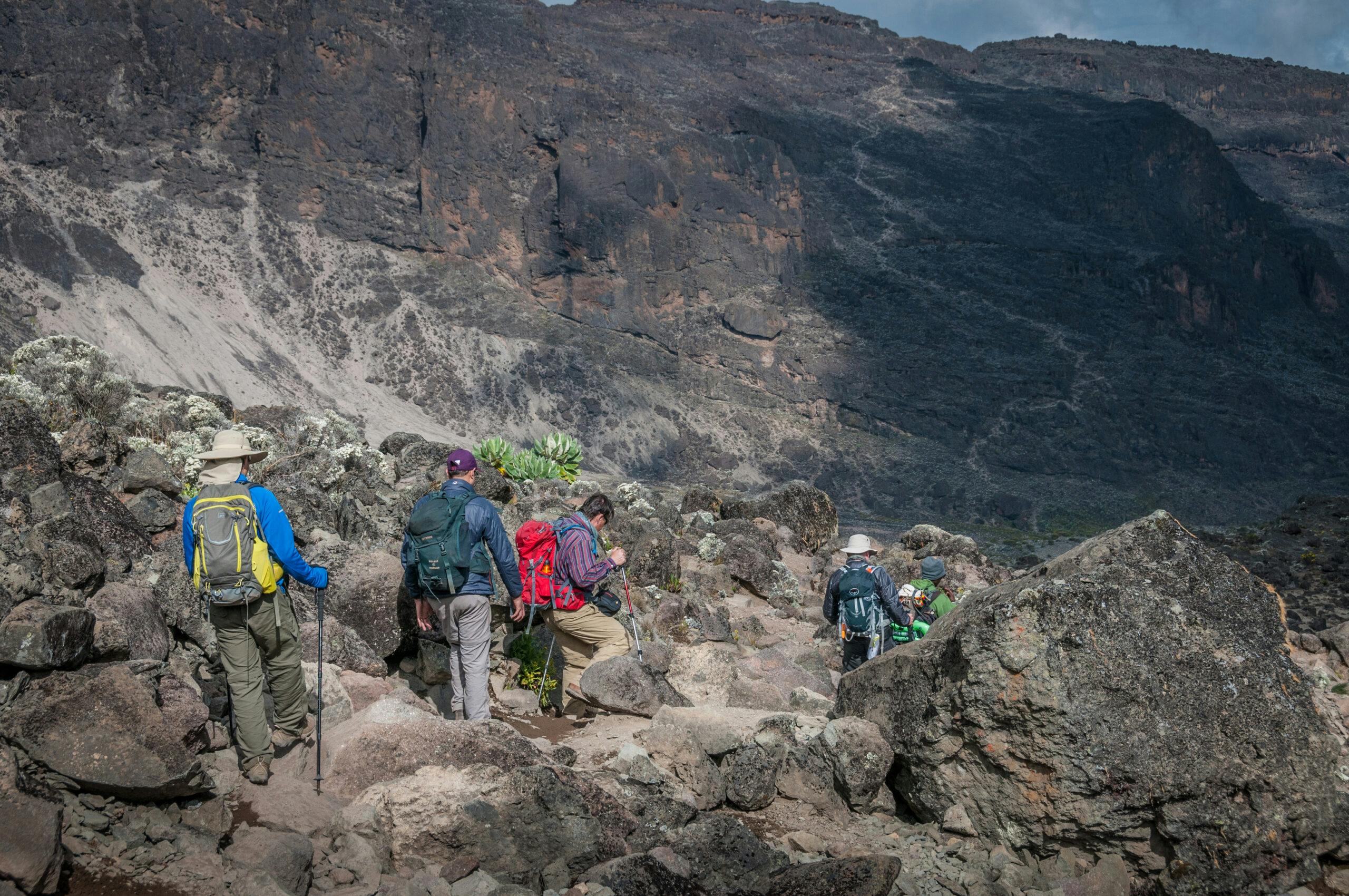 Trekkers descending on the trail to Kilimanjaro in Kilimanjaro National Park, Tanzania
