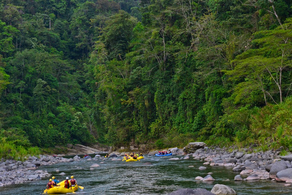 groups of rafters rafting in Tortuguero National Park in Costa Rica in South America