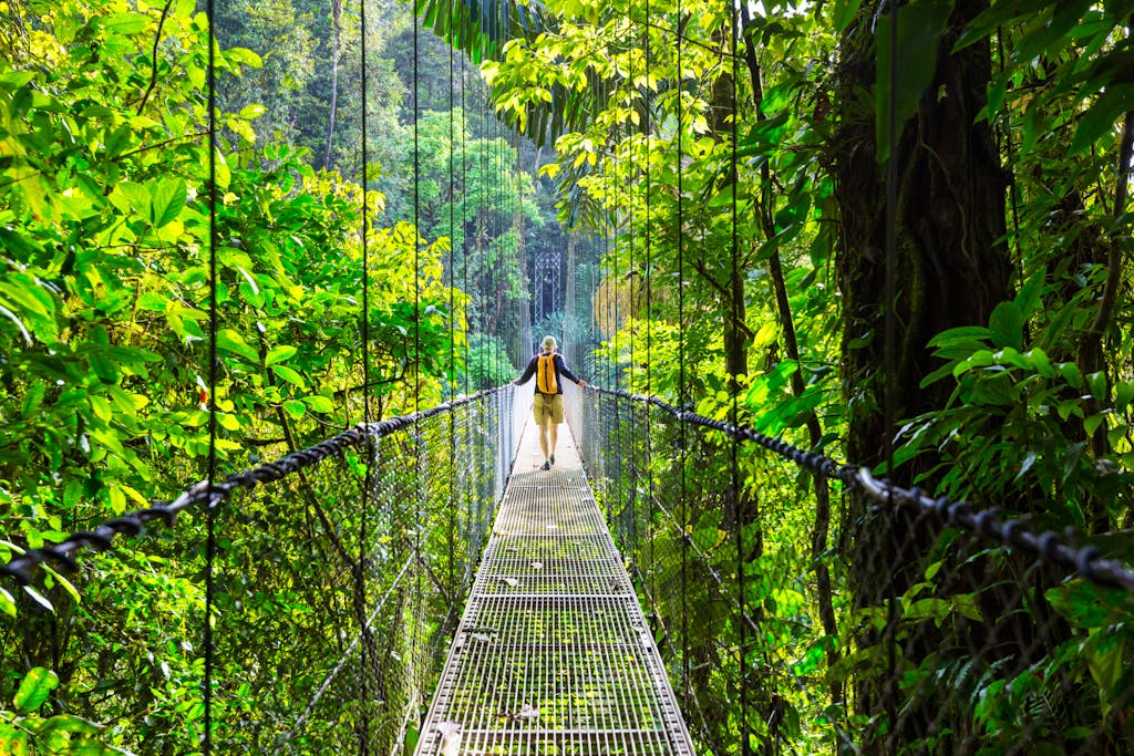 solo hiker on suspension hanging bridge in Monteverde Cloud Forest Reserve tropical jungle in Costa Rica, South America