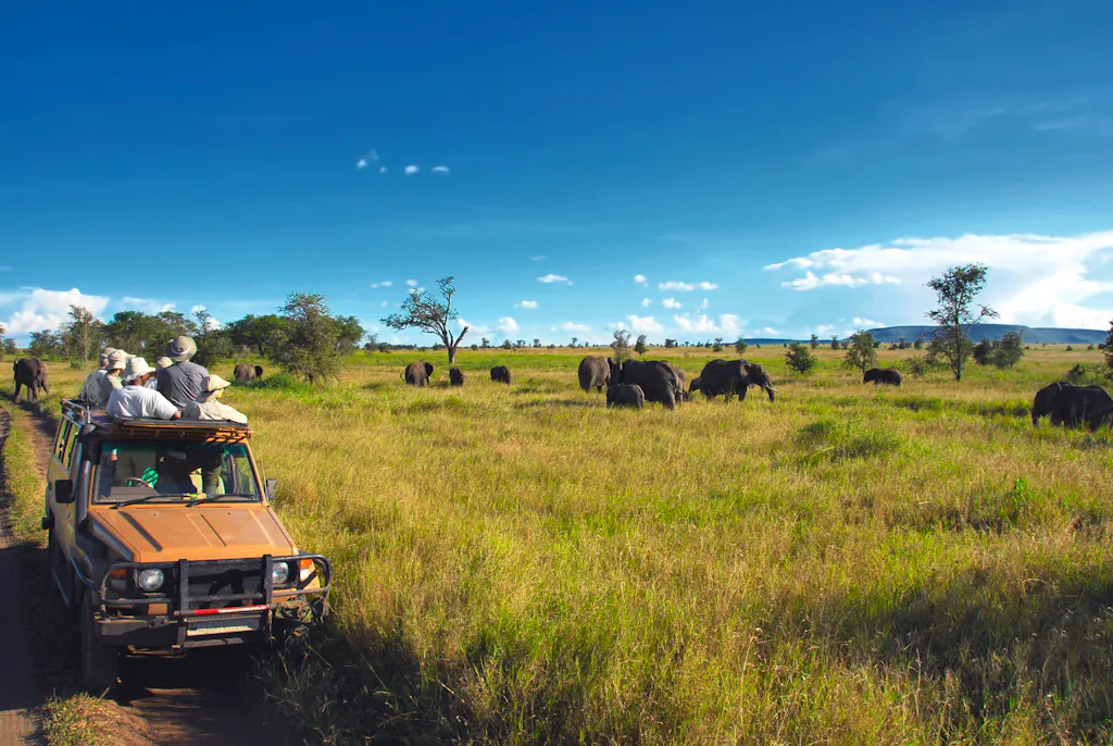 Safari goers watching elephants on the Serengeti Plain in Tanzania, Africa