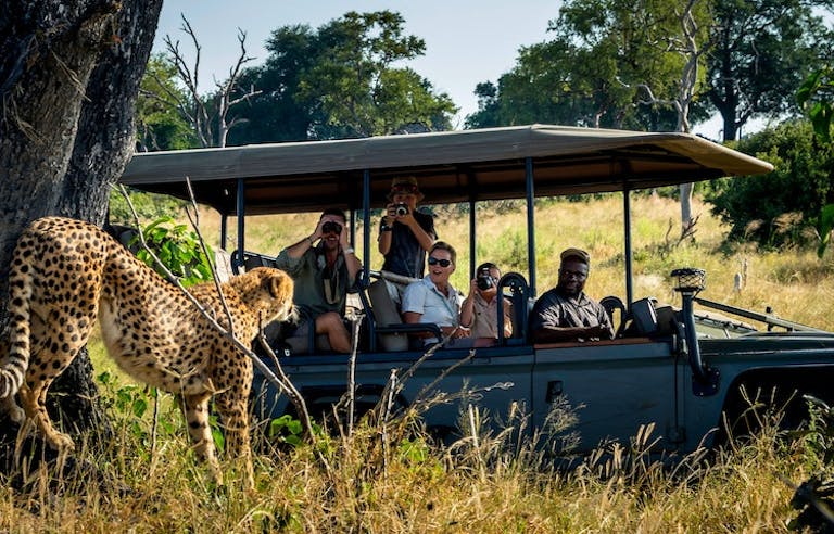Group of safari travelers on a game drive to see leopards in Botswana, Africa