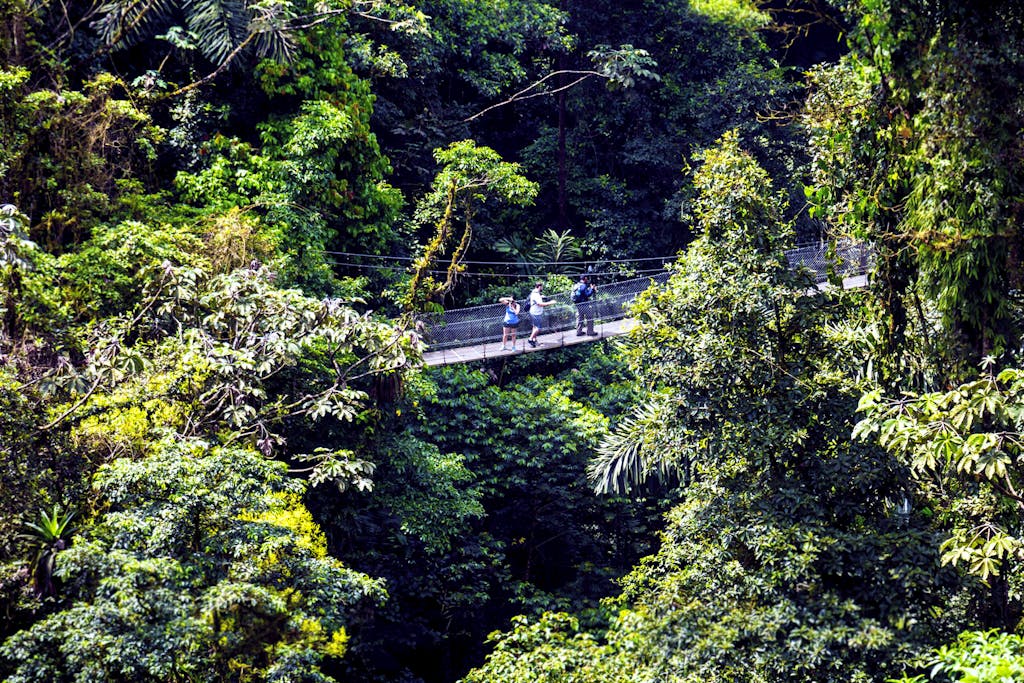 travelers walking on suspension hanging bridge in the Arenal in Costa Rica