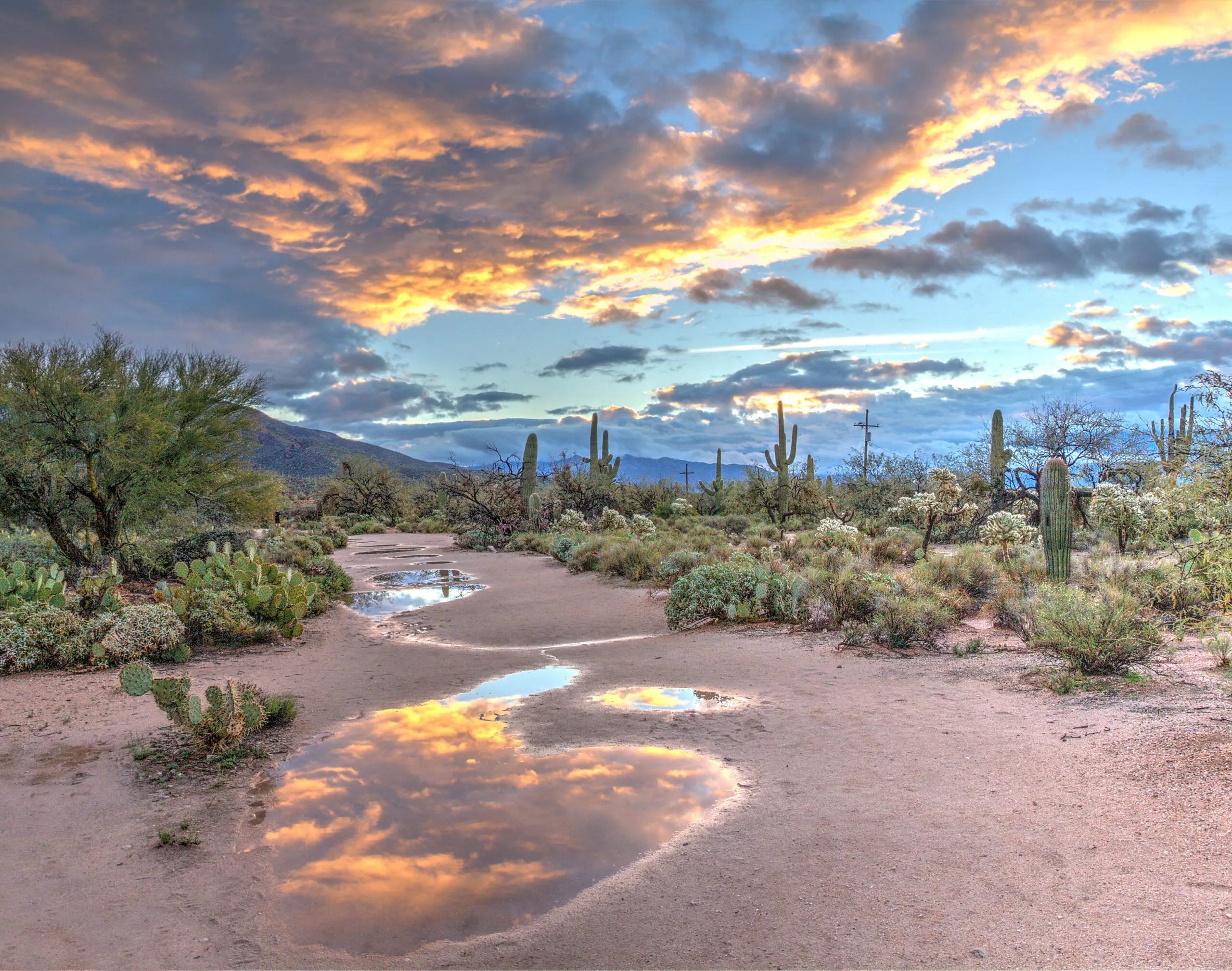 hiking the gravelly terrain in catalina canyon in arizona, north america, USA