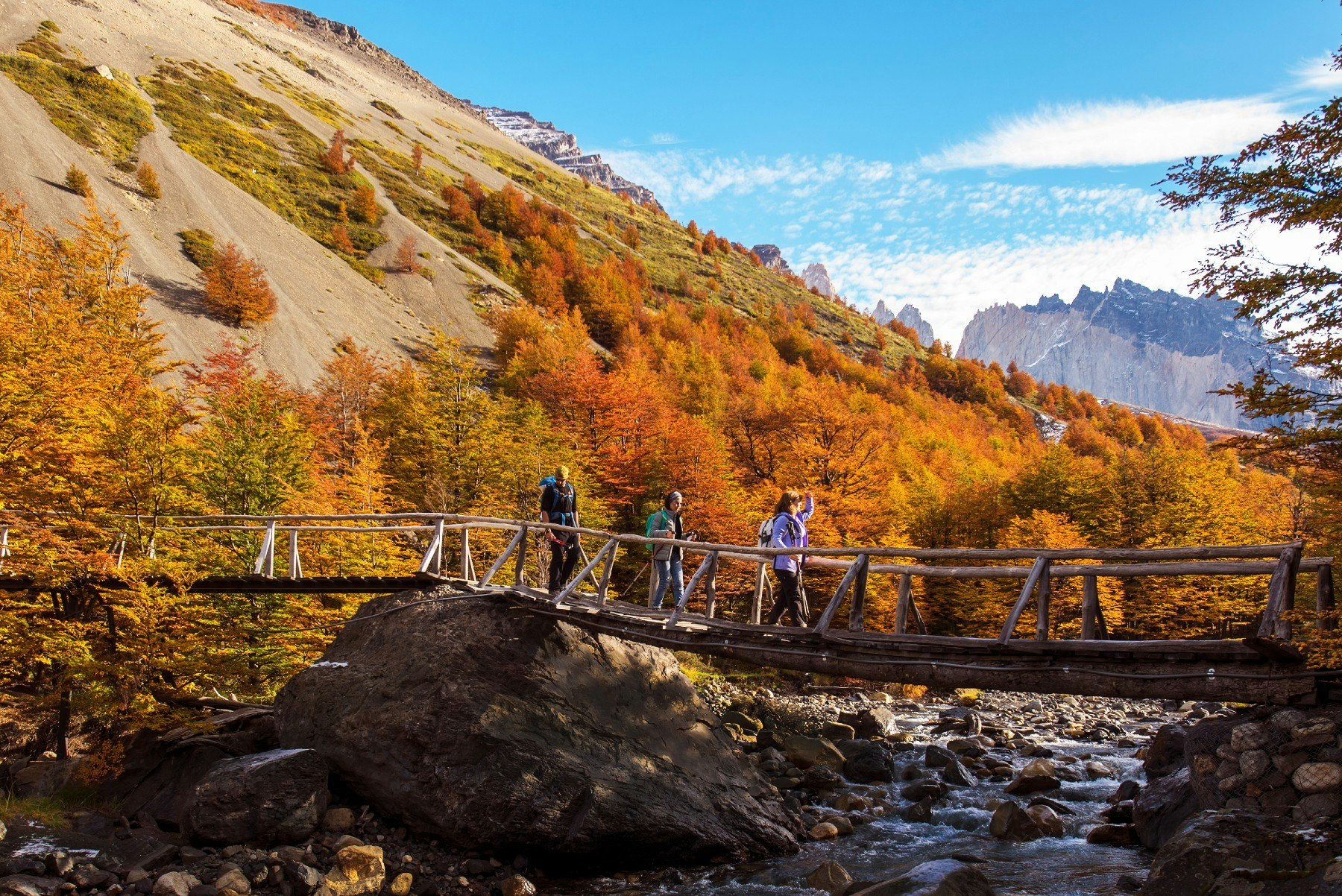 group of hikers walking on trail in Torres del Paine National Park in the falltime in Latin America