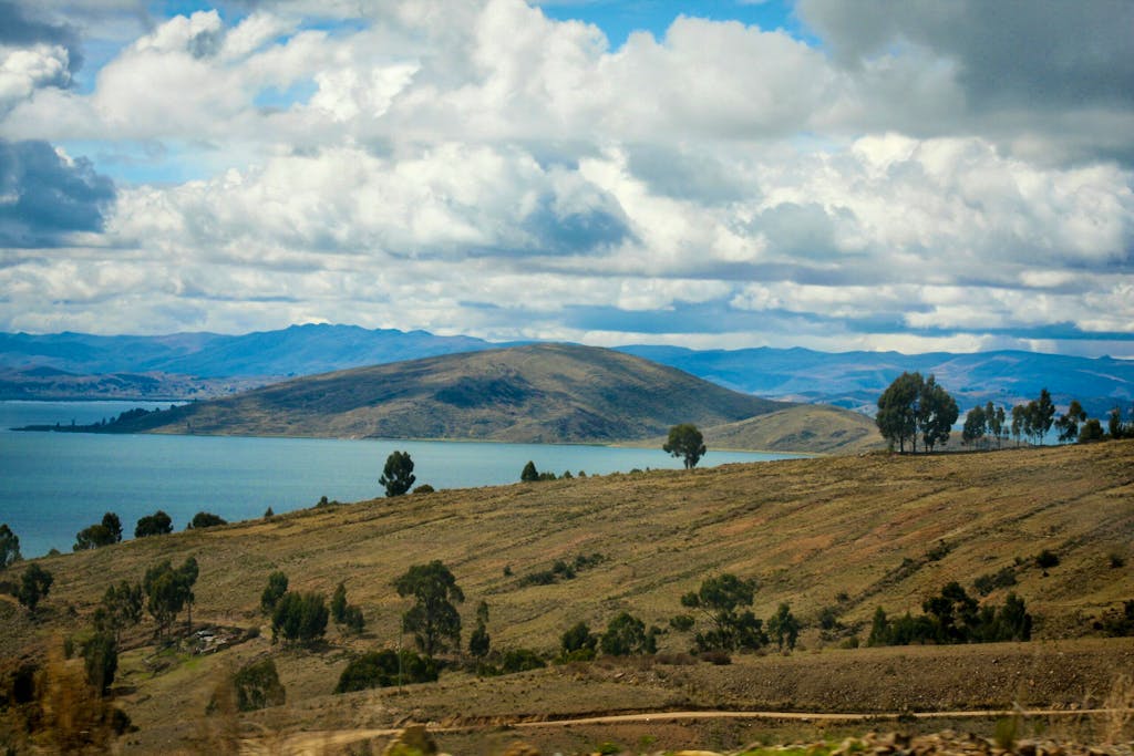 natural landscape with green trees in the daytime at Lake Liticaca in Peru, Latin America