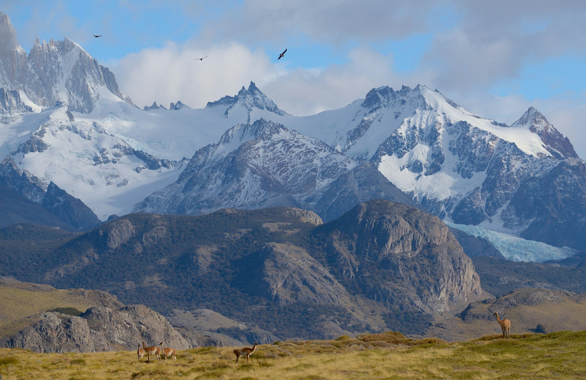 hiking trail to El Chalten town on Patagonia ultimate hike
