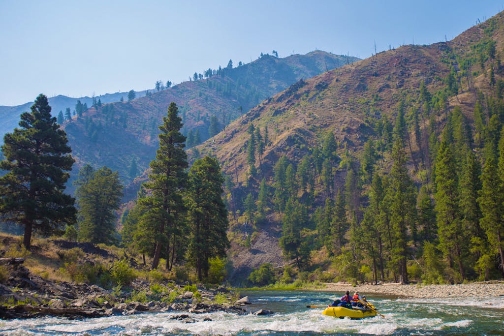 rafting the whitewater rapids in Middle Fork of the Salmon River in the summer