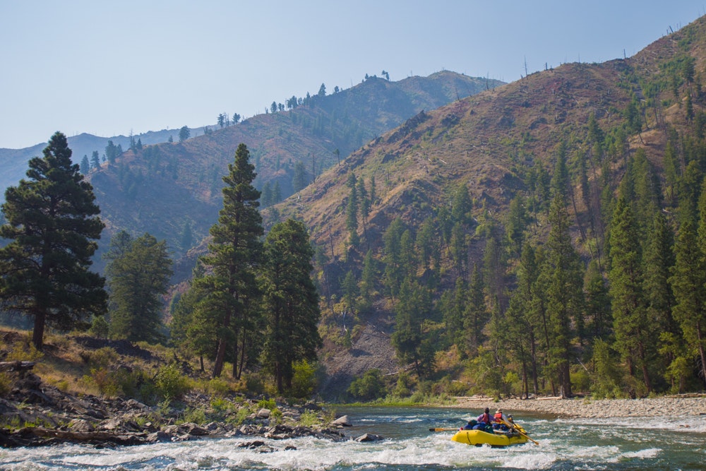 rafting the whitewater rapids in Middle Fork of the Salmon River in the summer