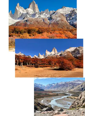 fall leaves and red and yellow flora in Argentina near Poincenot