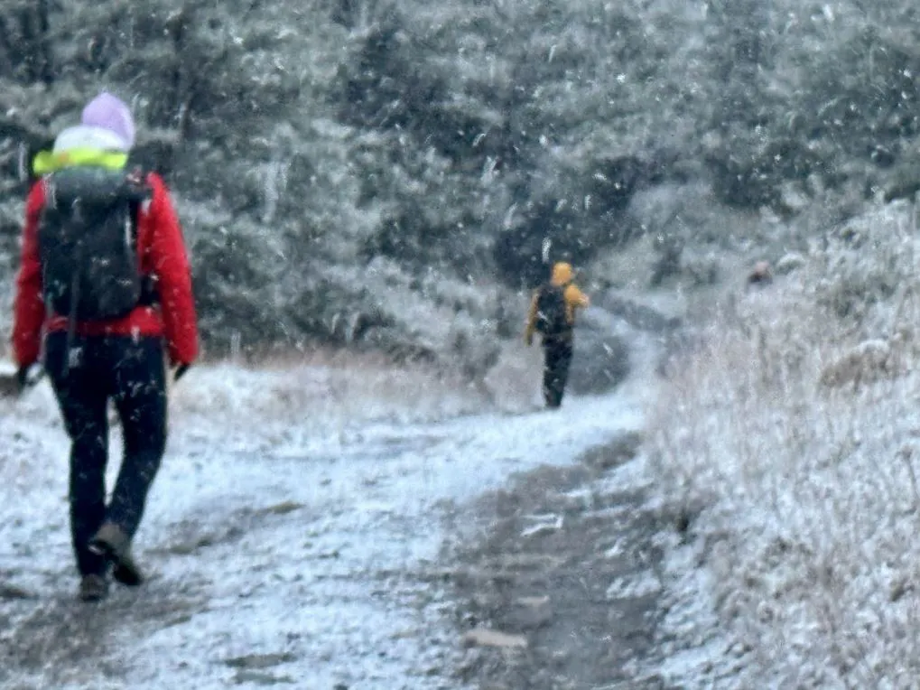 snowy day during walk from Laguna Capri to El Chalten in autumntime in Argentina