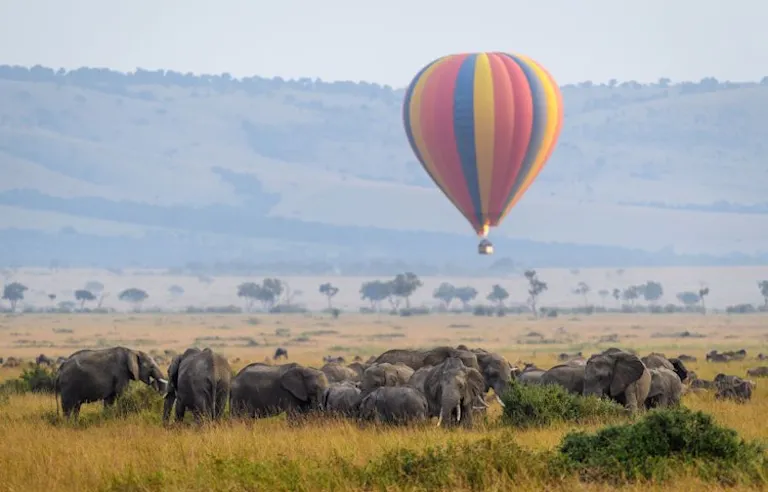 A colorful hot air balloon flies over a grassy landscape with a herd of elephants grazing below. Rolling hills are visible in the distance in Masai Mara, Kenya