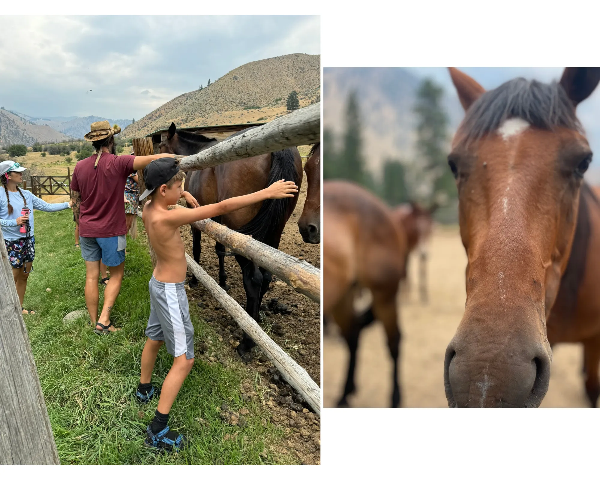 pit stop to see horse ranch, ice cream, hot springs, and a picnic lunch in Idaho's Middle Fork on day four