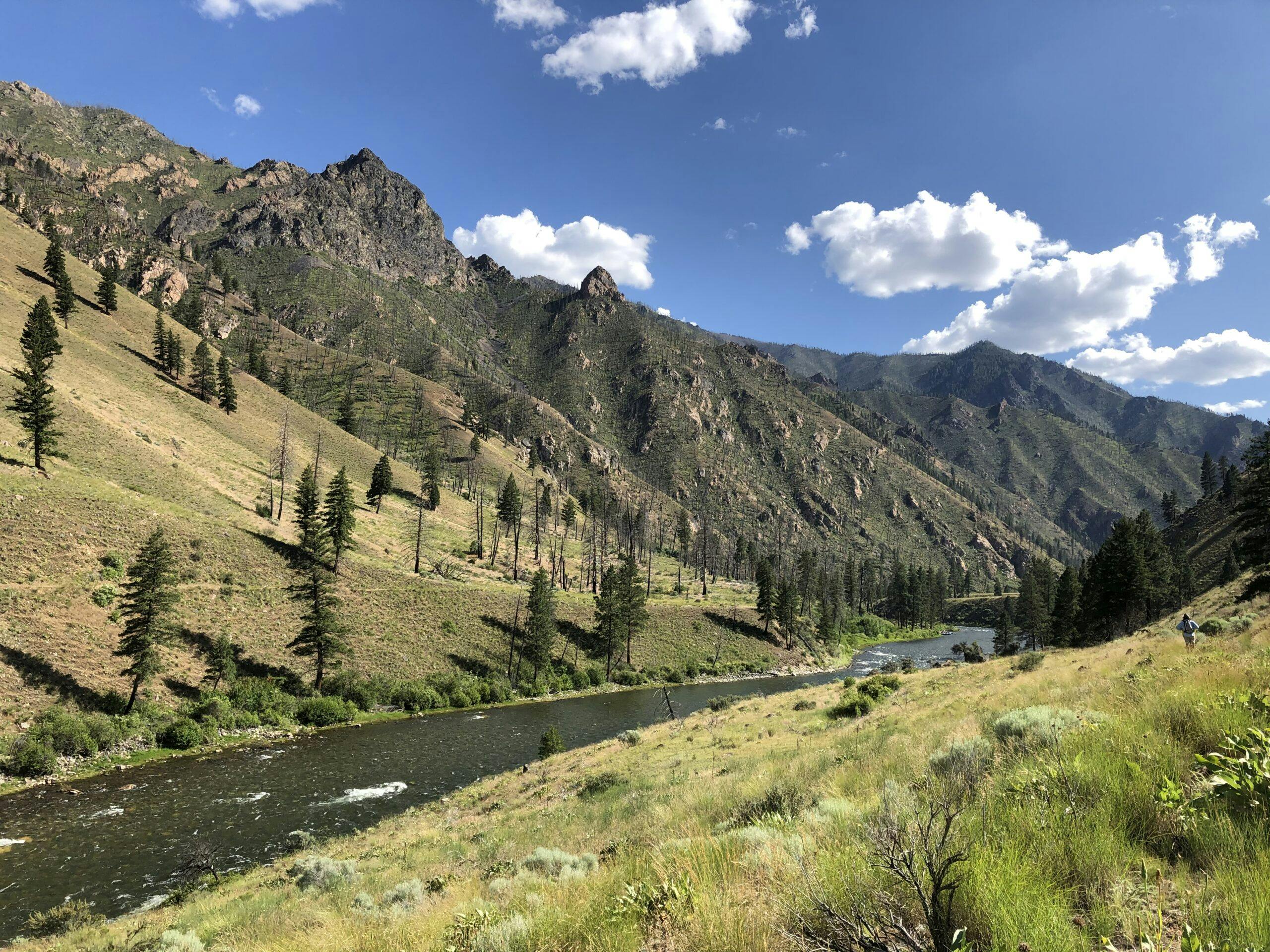 Middle Fork of the Salmon - weather in the summer