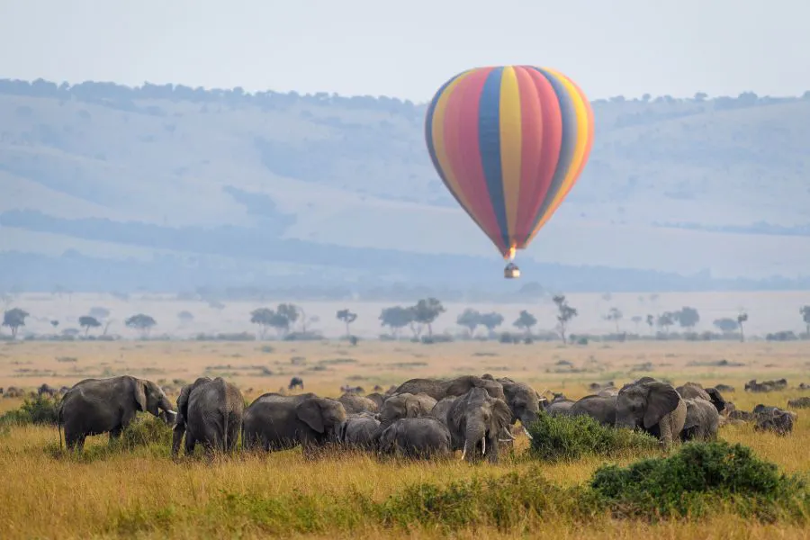 floating over masai mara wildlife in hot air balloon flight