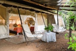 speke's camp luxury accommodation in masai mara kenya