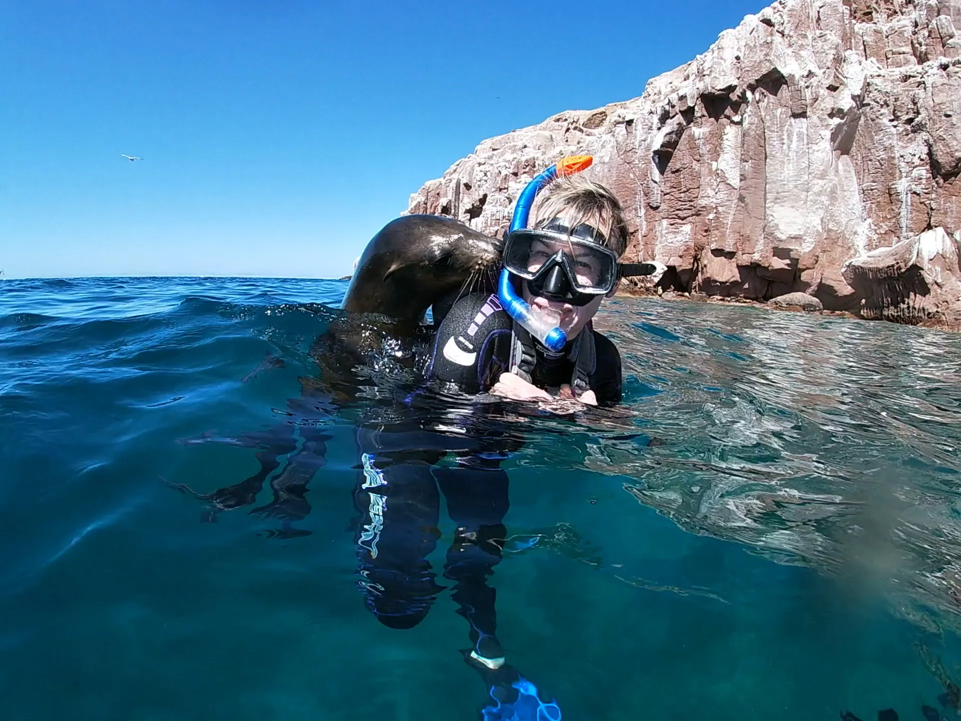 scuba diving with the sea lions in the beach of Baja's Sea of Cortez in Mexico