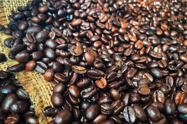 coffee beans in costa rica
