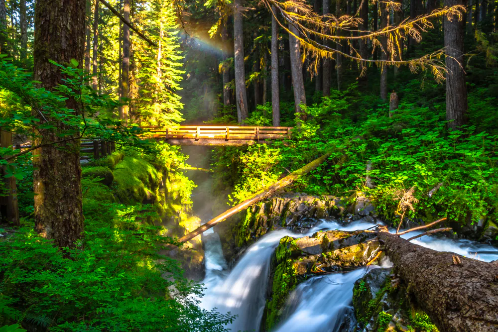olympic national park lodge based camping and hiking