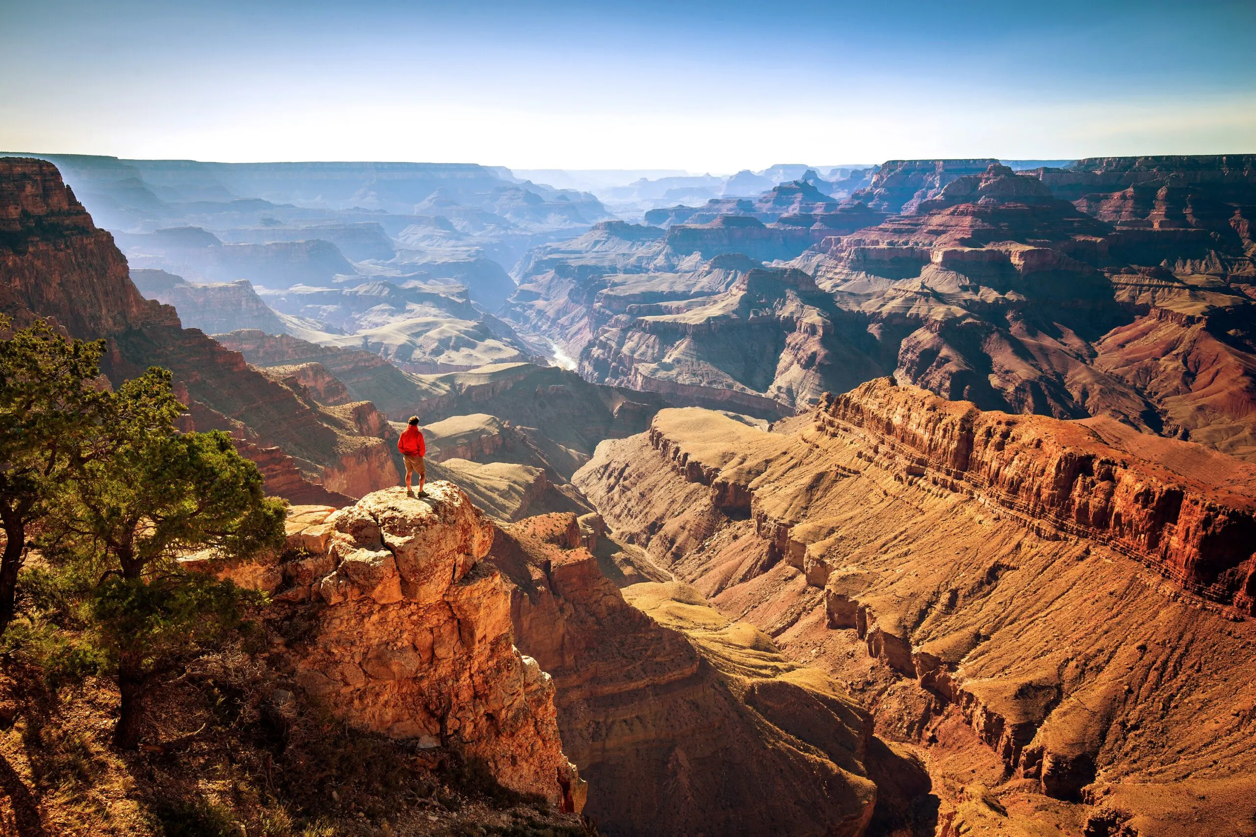 A person in a red jacket stands on a rocky ledge overlooking the vast, layered landscape of the Grand Canyon under a clear sky—a perfect scene for adventure travel enthusiasts.