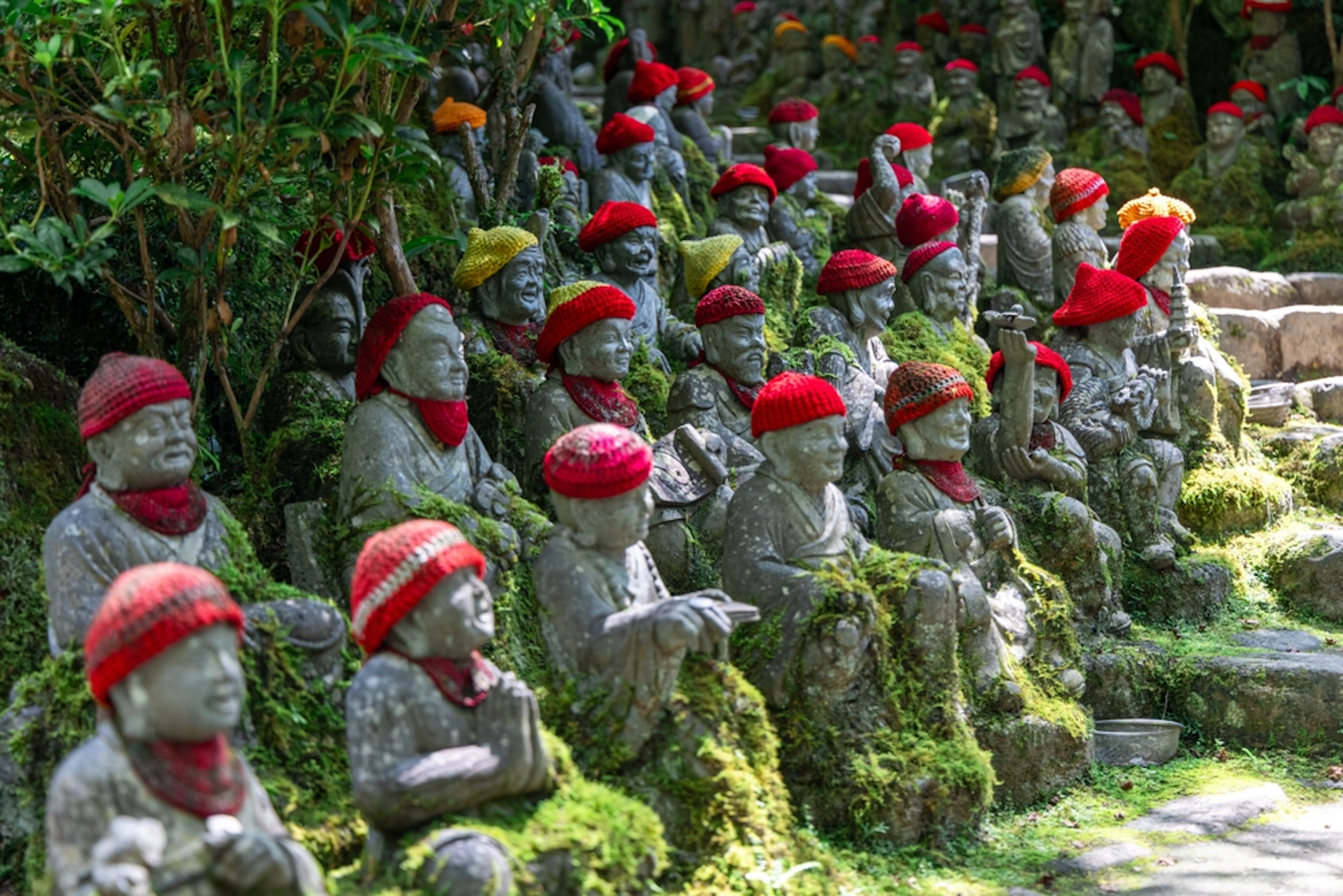 Shikoku Pilgrimage trail with forests, temples, and cultural influences