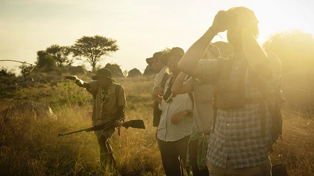 walking in the serengeti in Tanzania