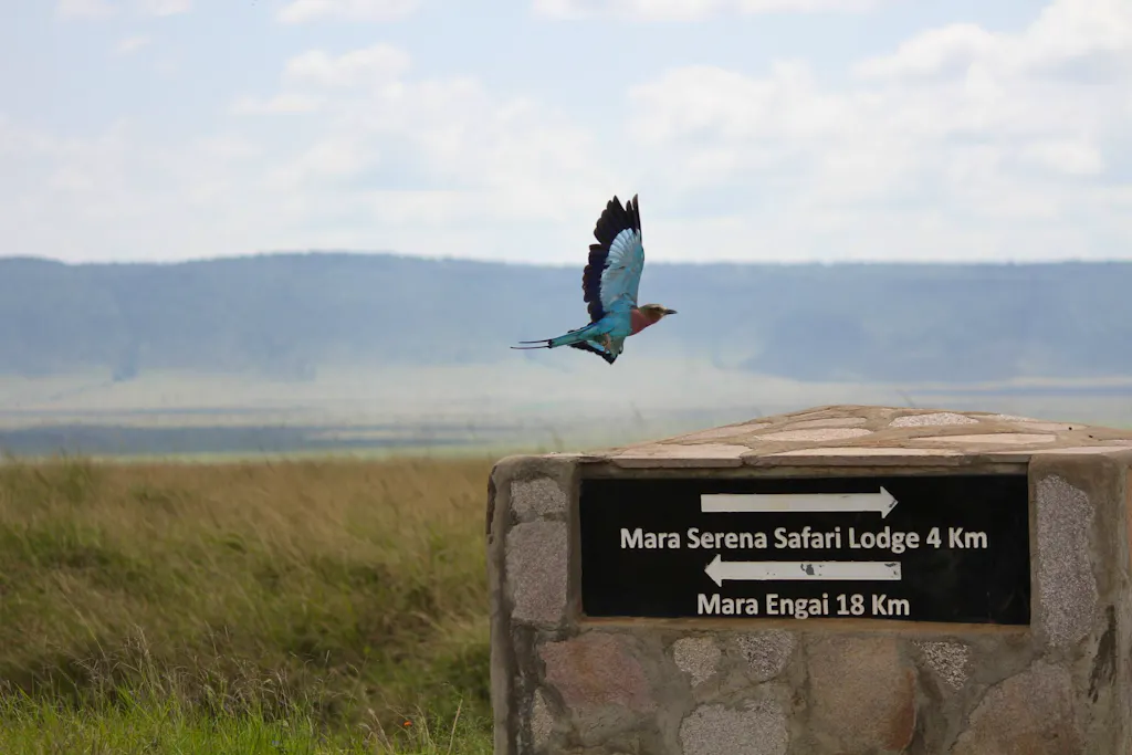 Kenya Walking Wildlife Safari Top 10 Winner for MT Sobek Photo Contest for 2025 - Gavin Chung
