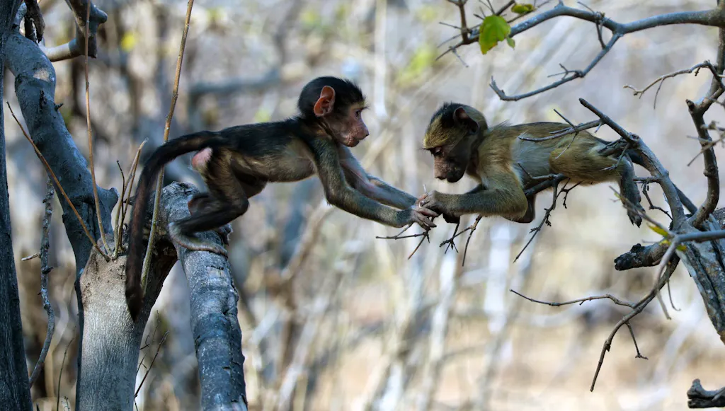 Randy Chapman MT Sobek Photo Contest Top 10 Winners for 2025