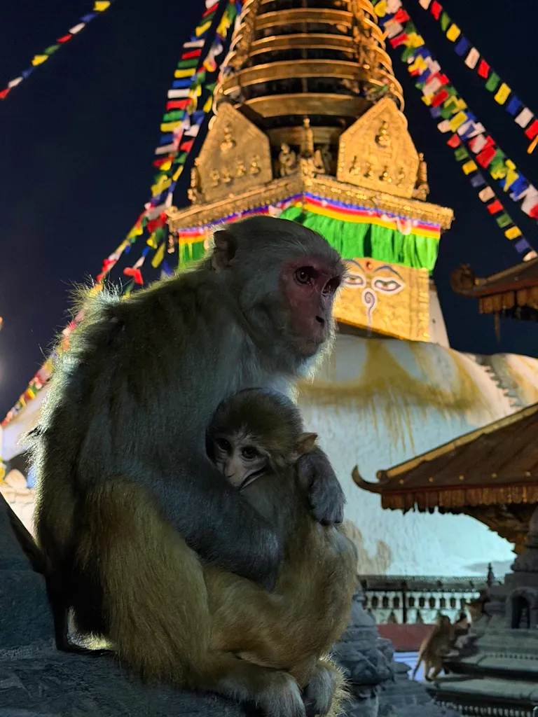 Annapurna Lodge to Lodge Trek Top 10 MT Sobek Photo Contest Winner of 2025 - Howard London