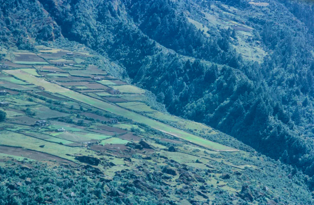 Lula bare landing strip 1971 with mt sobek
