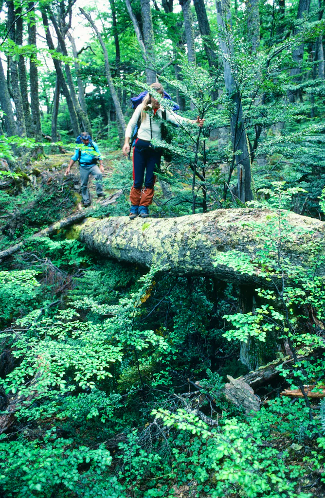 gardener expedition in patagonia hiking through deep ravines