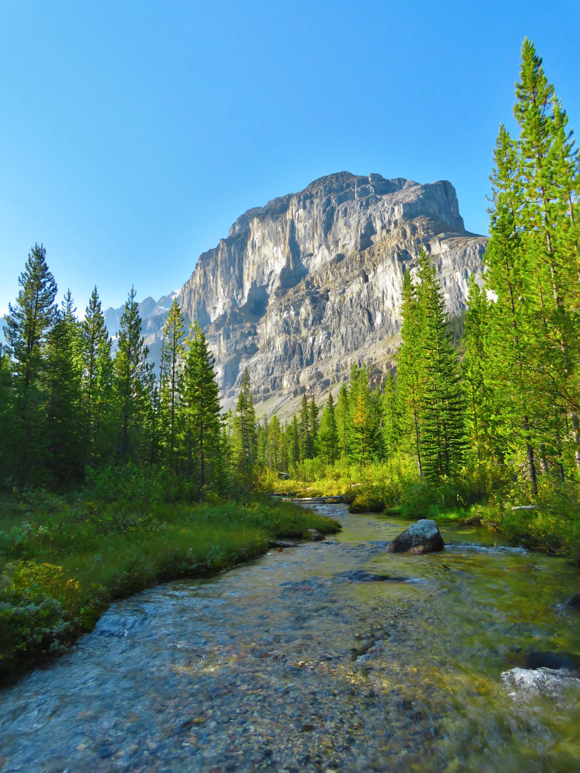 Pristine river and towering cliffs in the Canadian Rockies