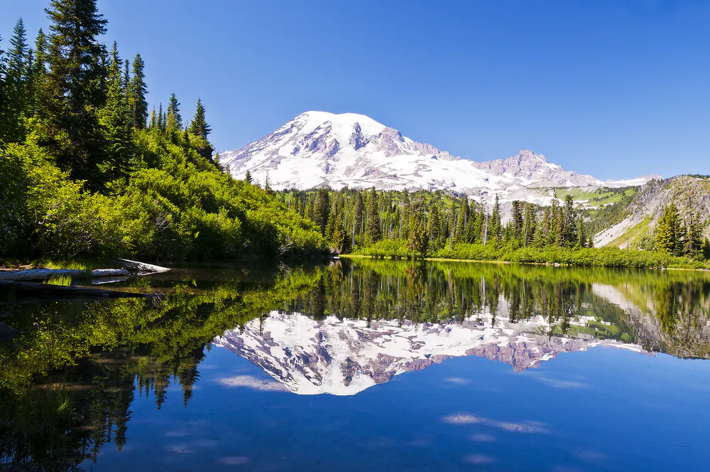 mount rainier custom hiking adventure