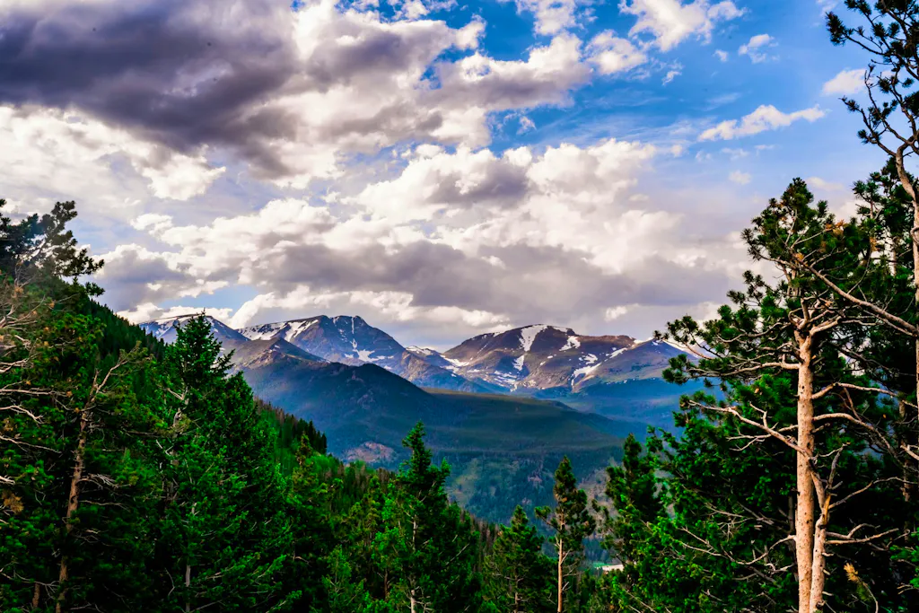 rocky mountains national park scenery and trees