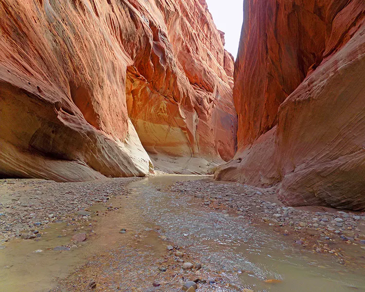 Creek flowing between red cliffs in Paria Canyon, Utah