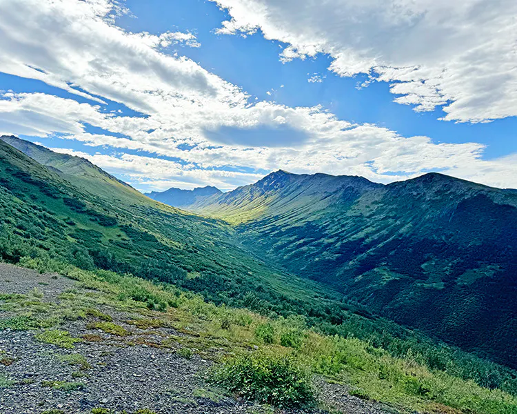 Lush mountain valley in the Chugach Range just outside of Anchrage, Alaska