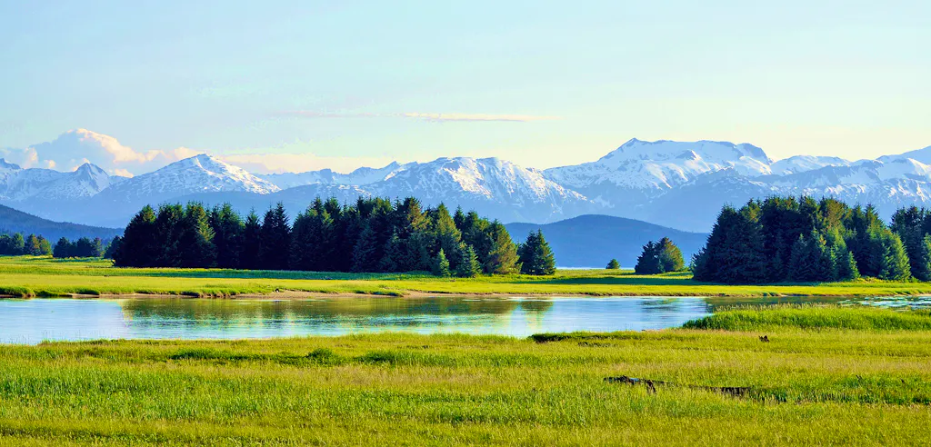 Wetlands with forests and glaciated peaks in the background in Alaska
