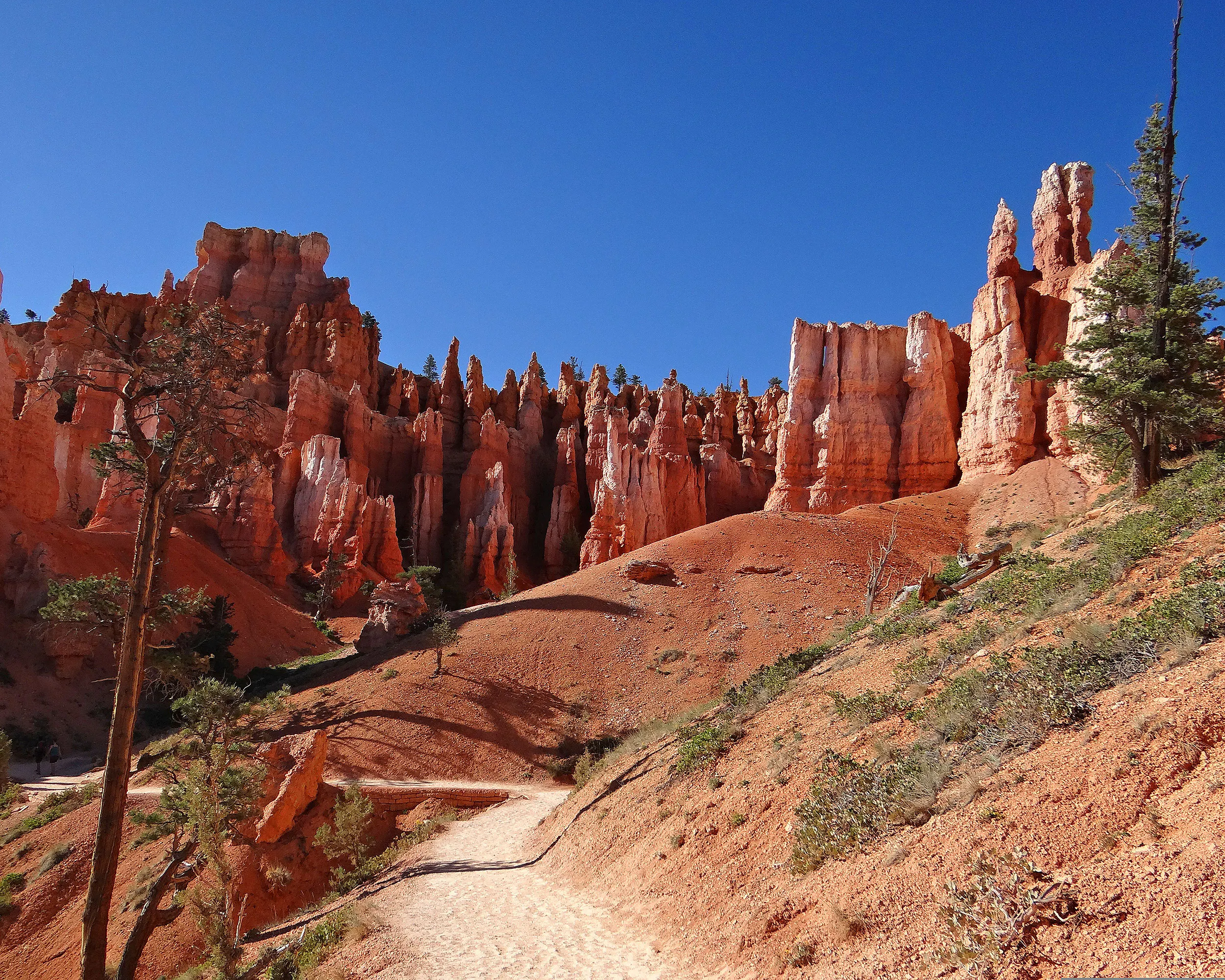 Empty hiking trail in Bryce Canyon National Park, Utah