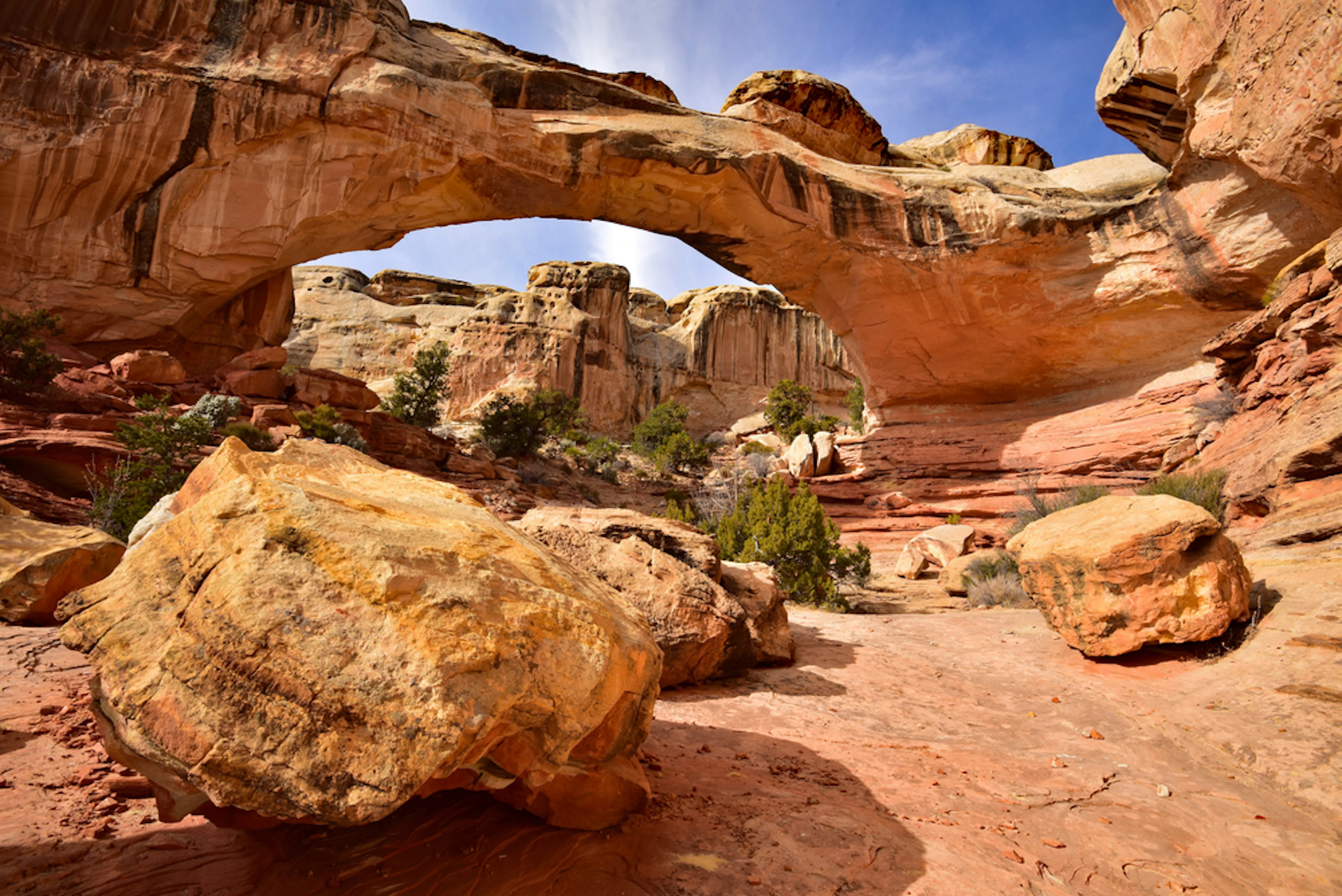 explore capitol reef park in utah mighty five