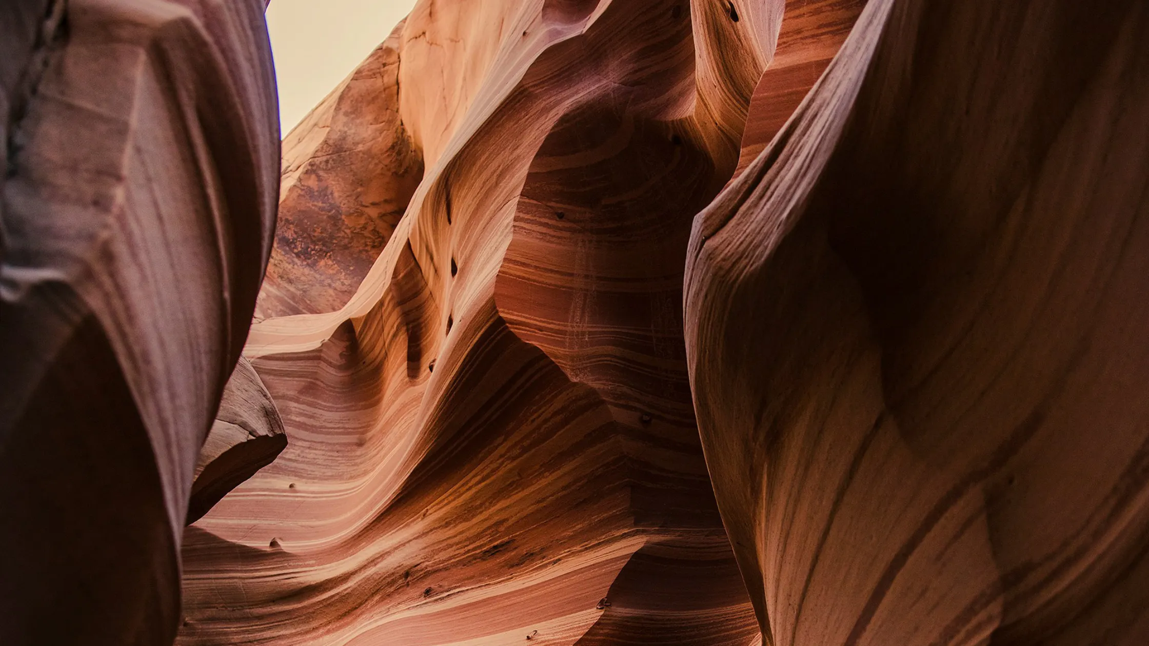 exploring zebra slot canyon on national park tour of escalante national park, utah