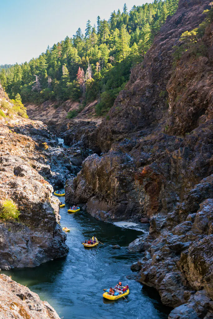 rafting the oregon rogue river with a rafting company