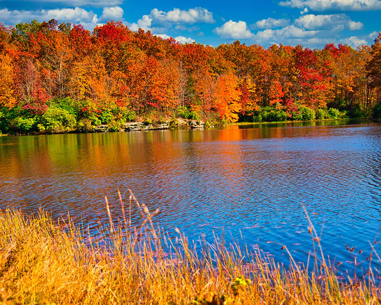 Gorgeous pond in Virginia with fall foliage trees surrounding it