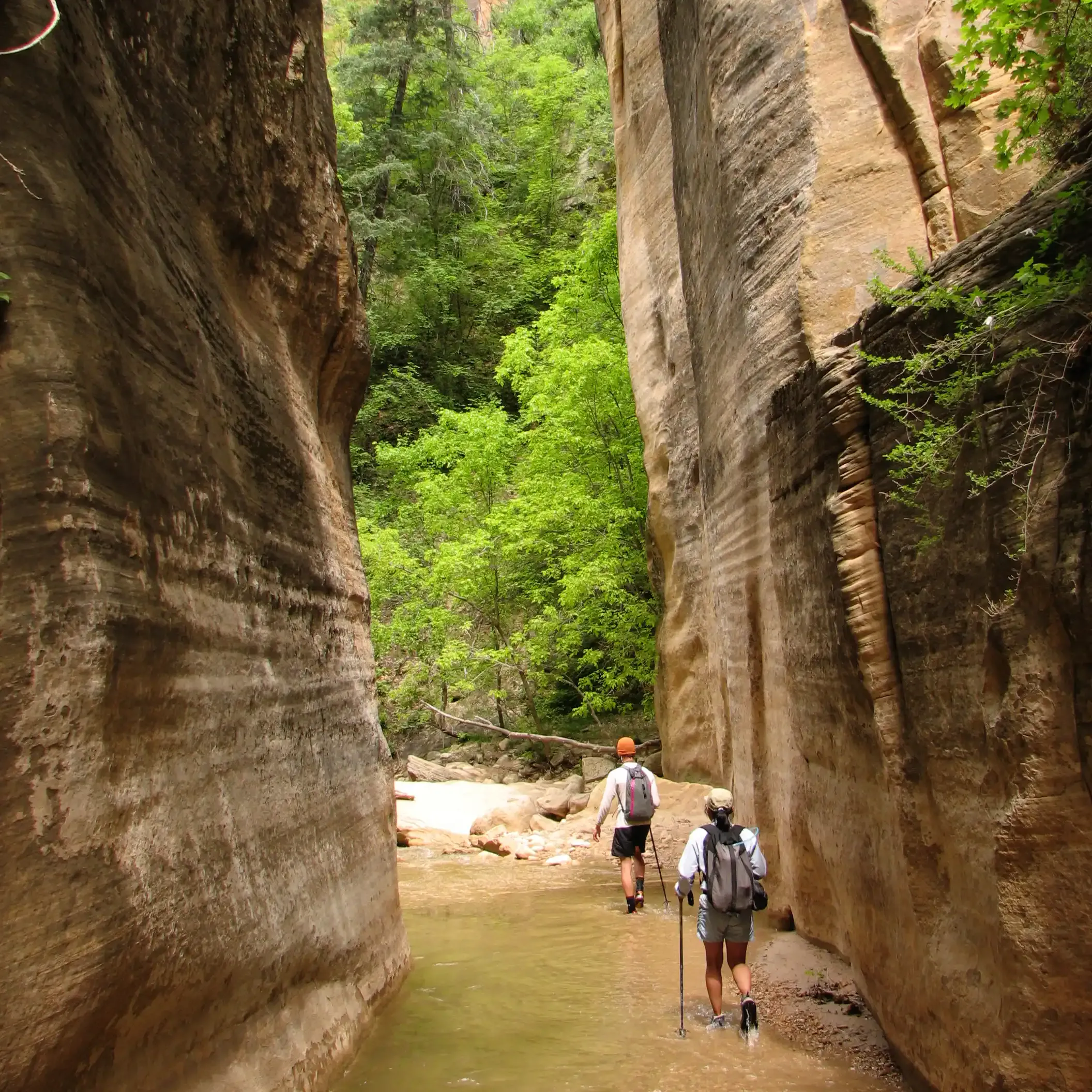 best time to go to the narrows in zion national park in utah