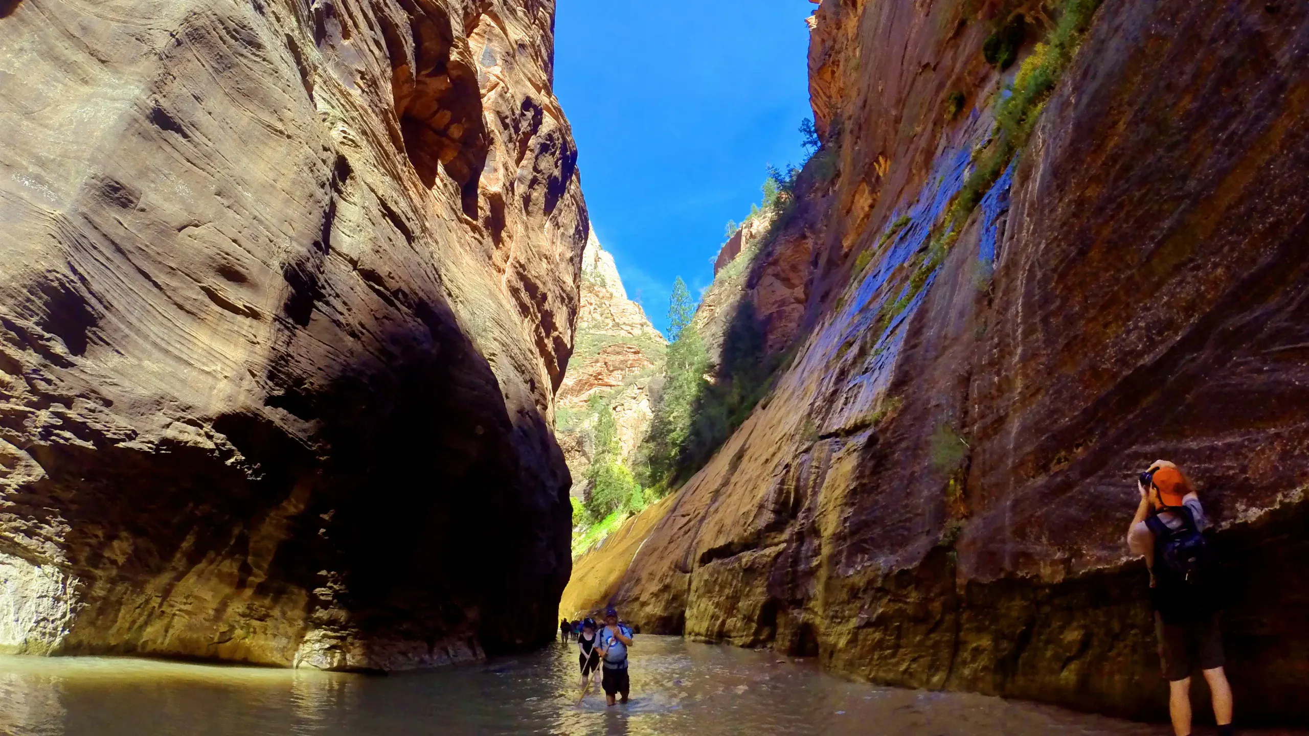 hiking the bottom-up route in narrows in utah's zion national park