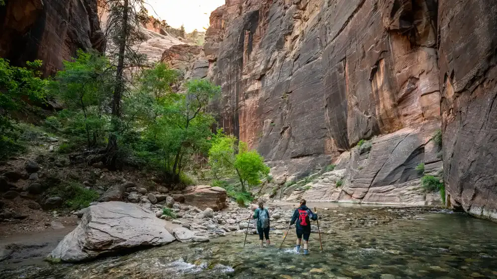 exploring the narrows with hiking sticks in zion national park